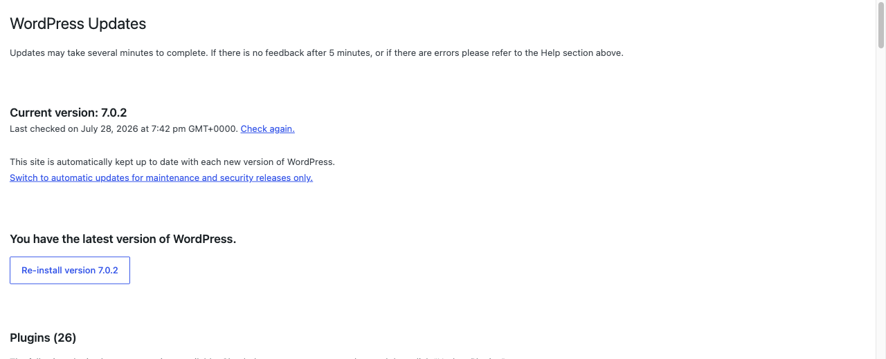 The WordPress Updates screen, where theme updates appear once a licence is active