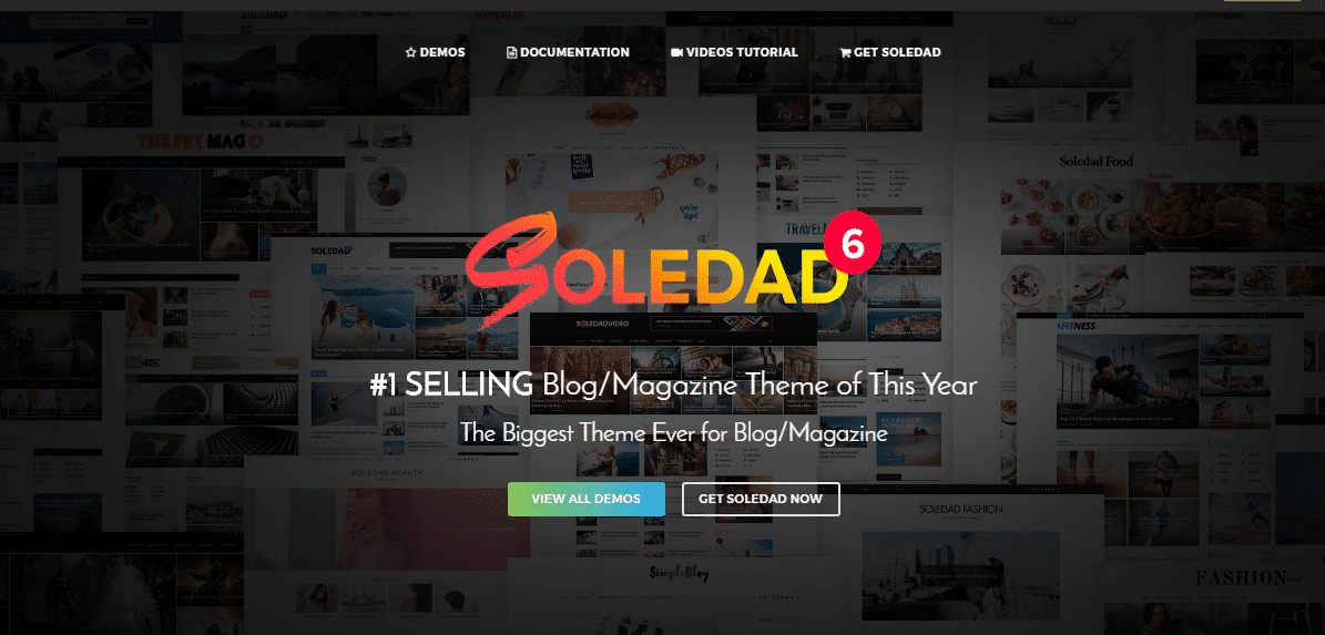 WordPress Blogging Themes