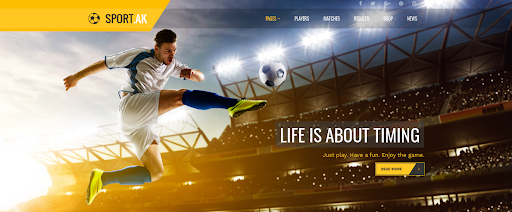 wordpress sport theme