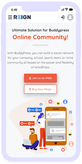 BuddyPress Theme Review consistent and responsive