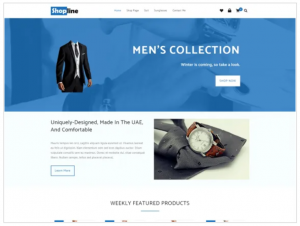 Best WordPress Store Themes