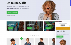 Best WordPress Store Themes