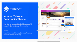 Intranet WordPress Themes