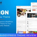 BuddyPress Theme Review