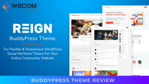 BuddyPress Theme Review