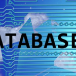 WordPress Database Plugins