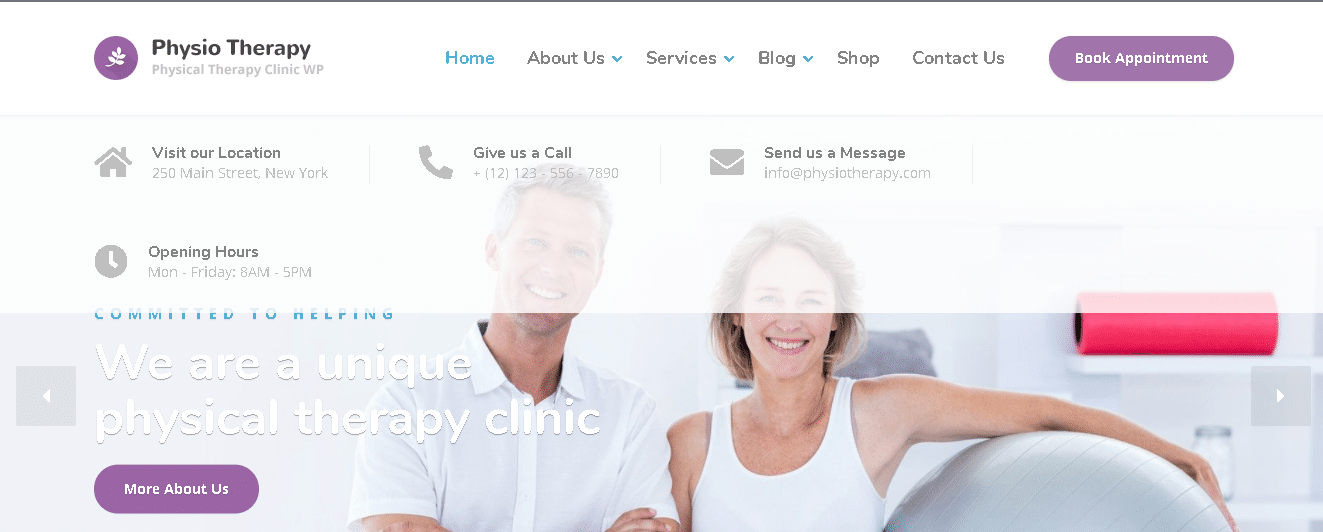 Chiropractor WordPress Themes