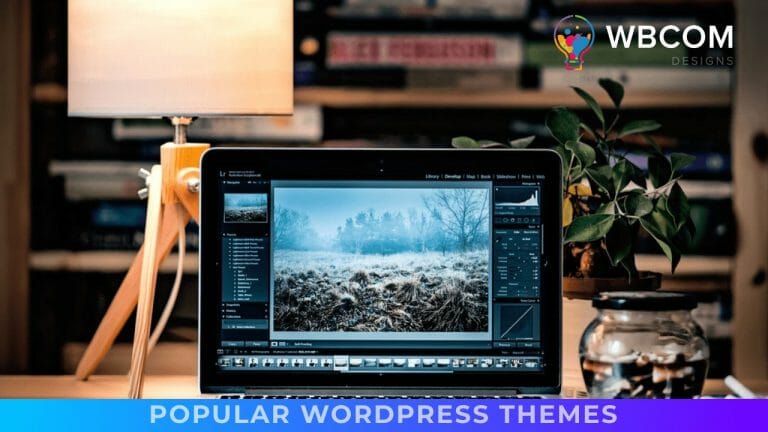 Popular WordPress Themes