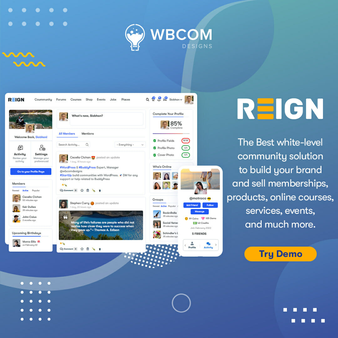 Reign- Best WordPress Themes for Affiliate Marketing