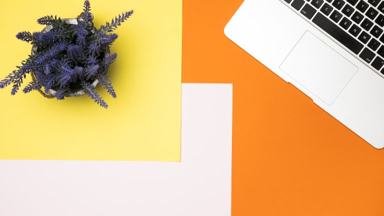 How to Change the Background Color of My Site Header in WordPress