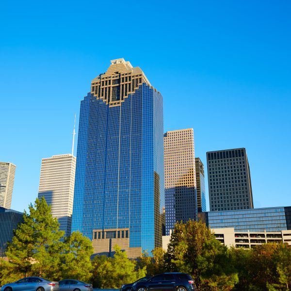 Local SEO Houston Services to Help Your Business Grow in Bayou City