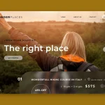 Website Templates for WordPress