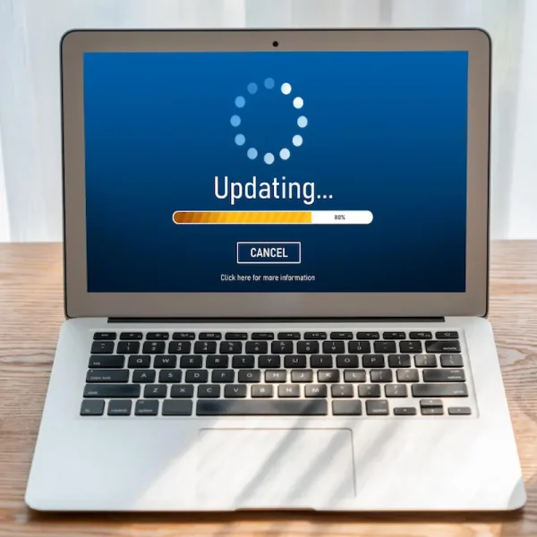Stress-Free WordPress Updates: Why Reign Theme Makes It Easy