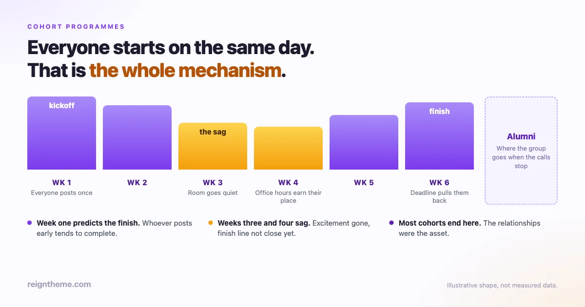 Column chart of a six-week cohort programme: week one kickoff with everyone posting, a dip in weeks three and four, a rise at the week six deadline, and a dashed Alumni panel after it ends